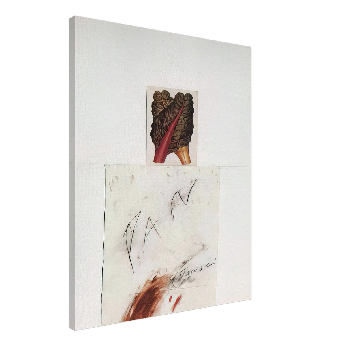Pan by Cy Twombly, canvas print, botanical image with loose, gestural drawing and delicate marks, 60x75 cm (24x30 in)