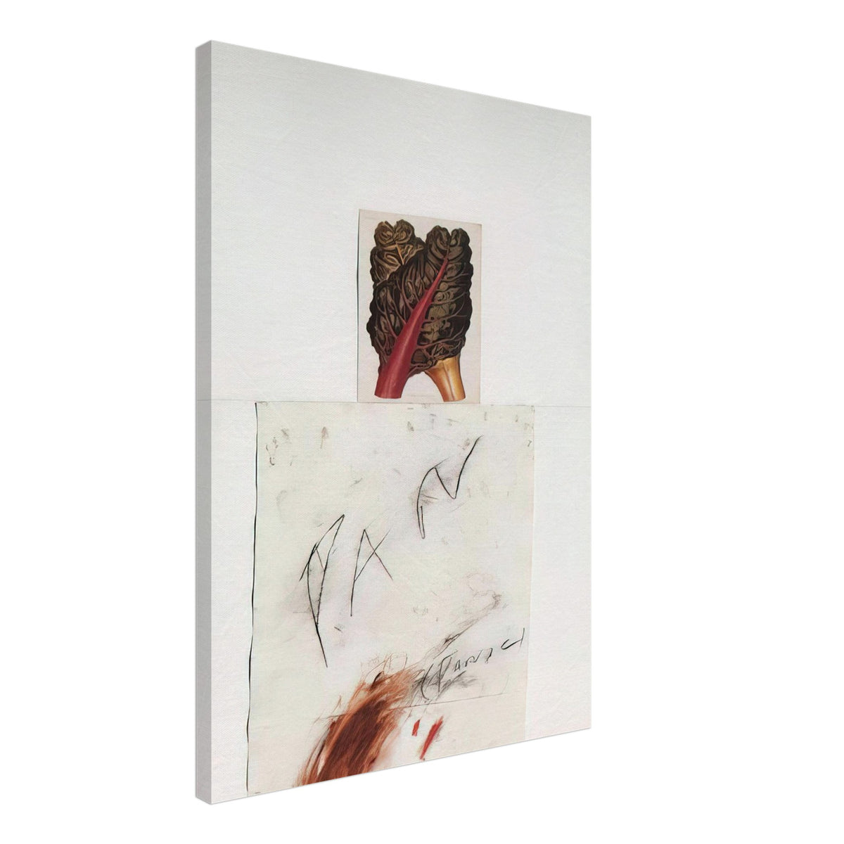 Pan by Cy Twombly, canvas print, botanical image with loose, gestural drawing and delicate marks, 70x100 cm (28x40 in)