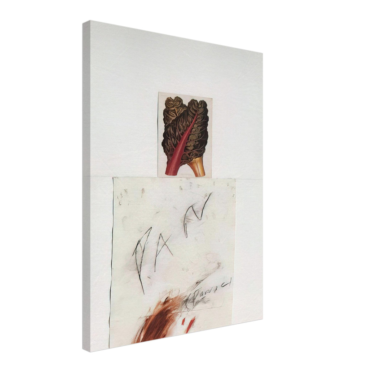 Pan by Cy Twombly, canvas print, botanical image with loose, gestural drawing and delicate marks, 50x70 cm (20x28 in)