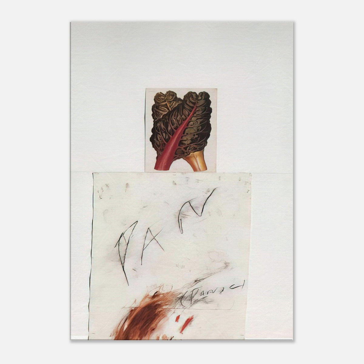 Pan by Cy Twombly, canvas print, botanical image with loose, gestural drawing and delicate marks