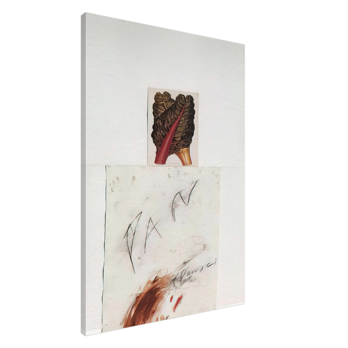 Pan by Cy Twombly, canvas print, botanical image with loose, gestural drawing and delicate marks, 45x60 cm (18x24 in)